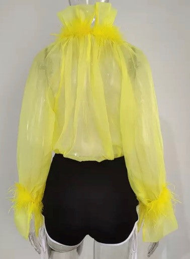 See Through Feathered Top