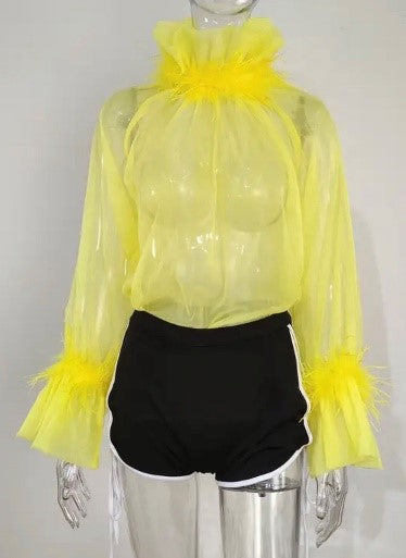 See Through Feathered Top