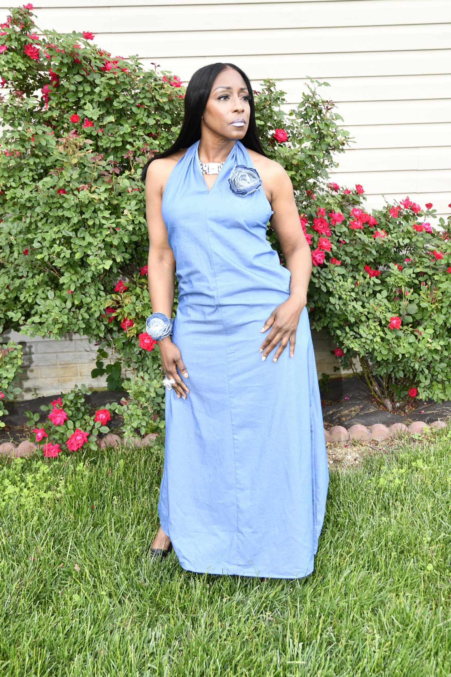 Coastal Breeze Backless Maxi